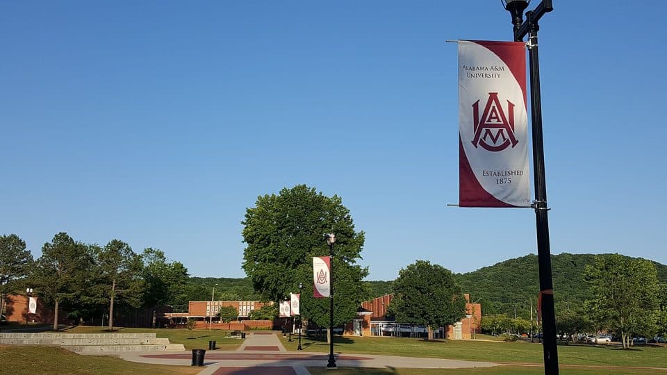 A wide walkway across a green lawn lined with maroon and white Alabama A&M banners on lampposts, with brick buildings and a wooded hill behind