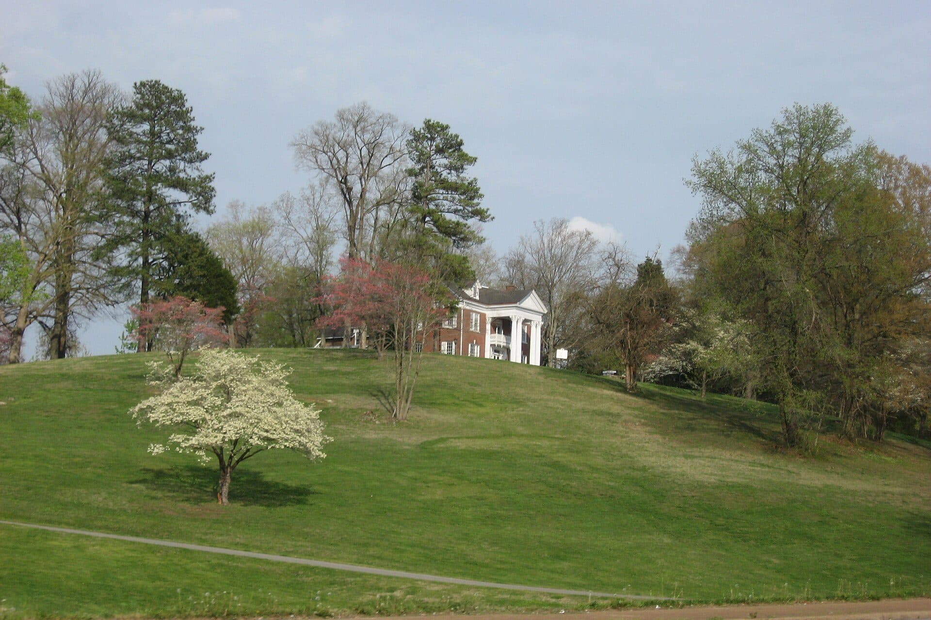 A green hillside with a flowering dogwood leading up to the white-columned Emerald Hill mansion on the Austin Peay campus in spring