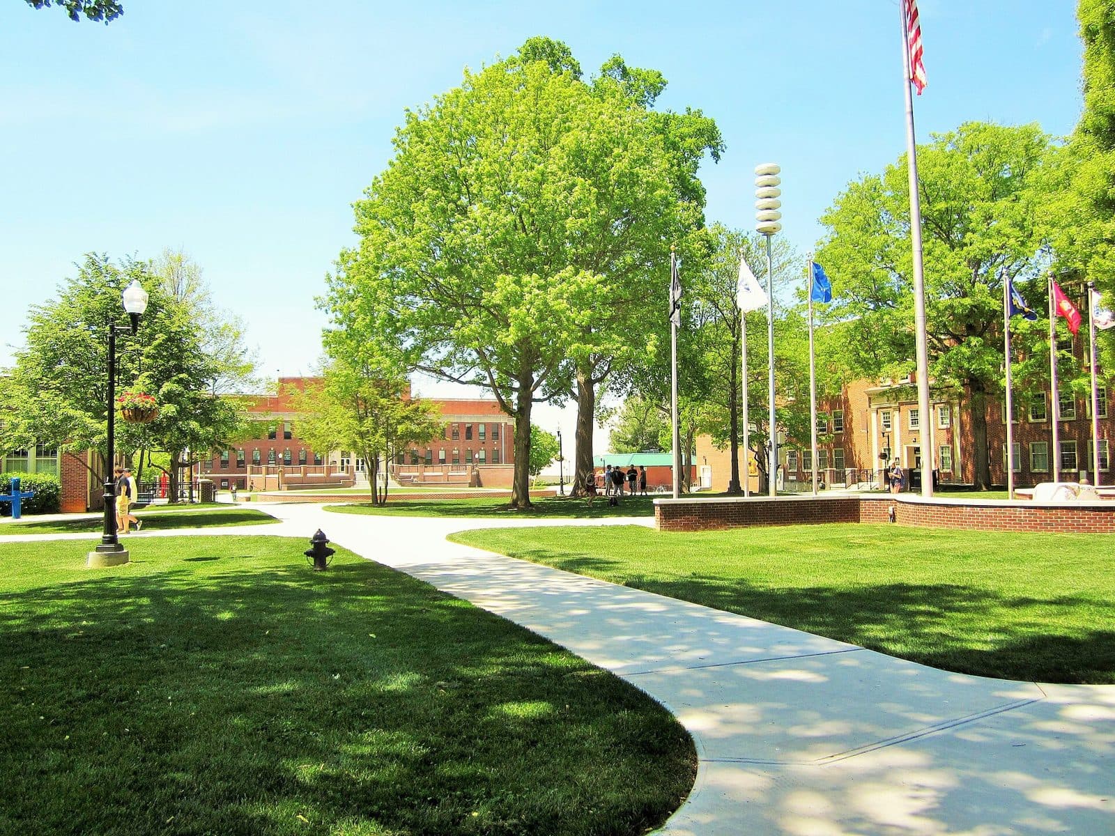 The green campus quad at East Tennessee State University on a sunny day, with a curving walkway, leafy trees, a row of flagpoles and brick buildings behind