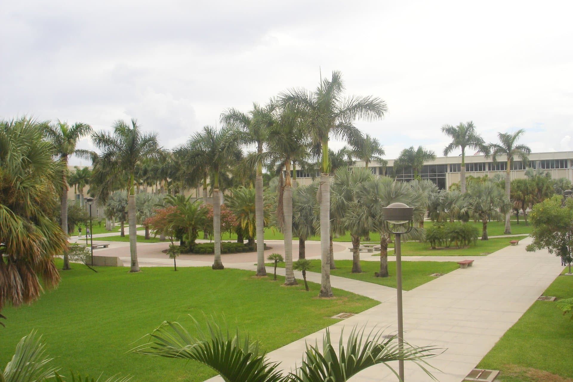Palm-lined walkways and lawns across Alumni Plaza on Florida Atlantic University's Boca Raton campus