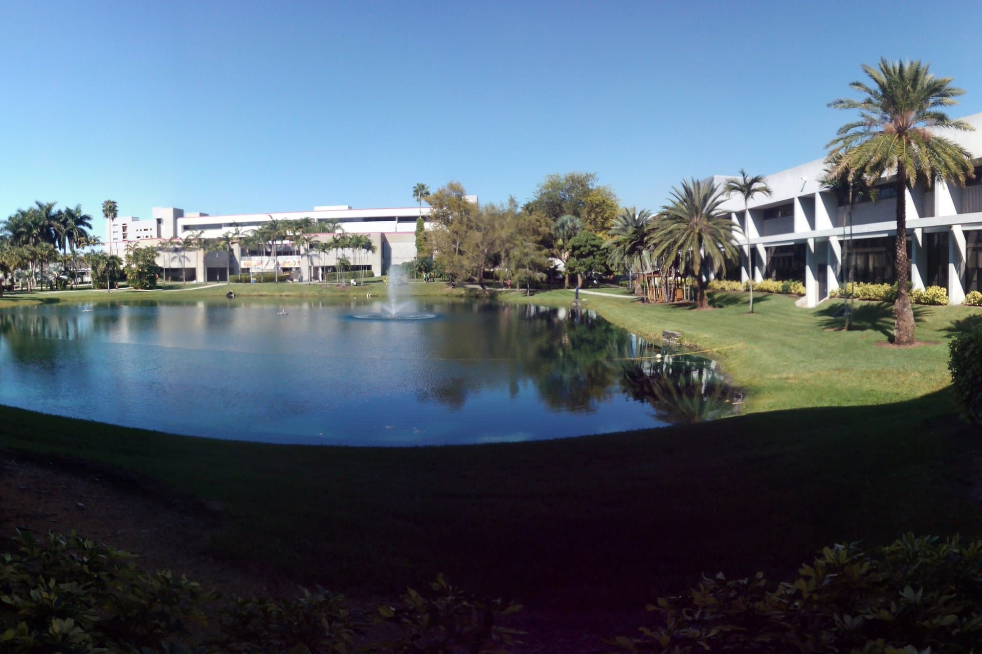 A lake with a fountain ringed by palm trees and white campus buildings at FIU's Modesto A. Maidique Campus under a blue sky