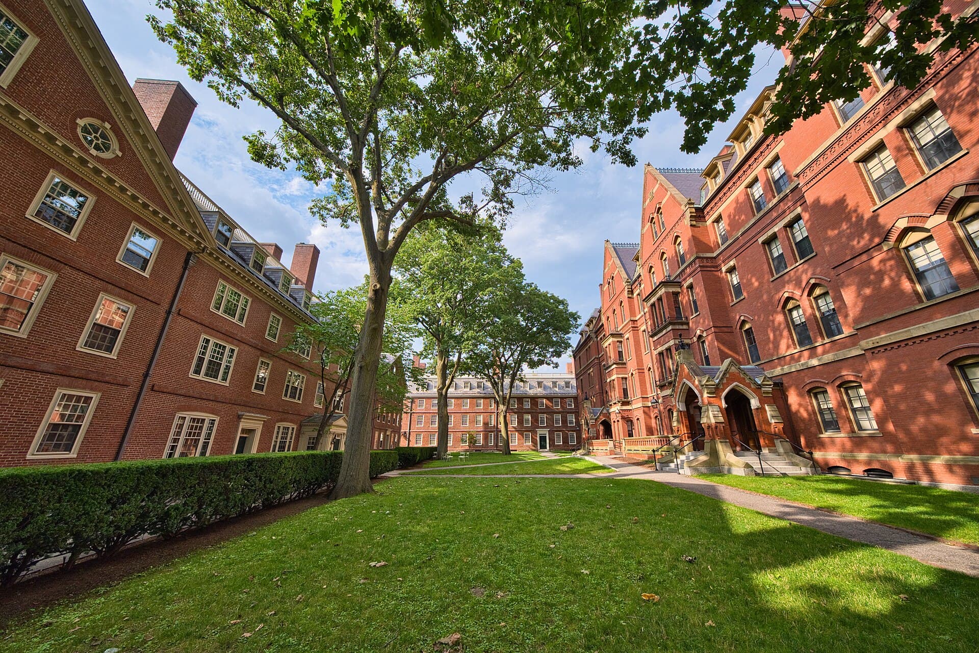 A sunny lawn in Harvard Yard between red-brick Straus Hall and Matthews Hall, with Massachusetts Hall and trees in the distance