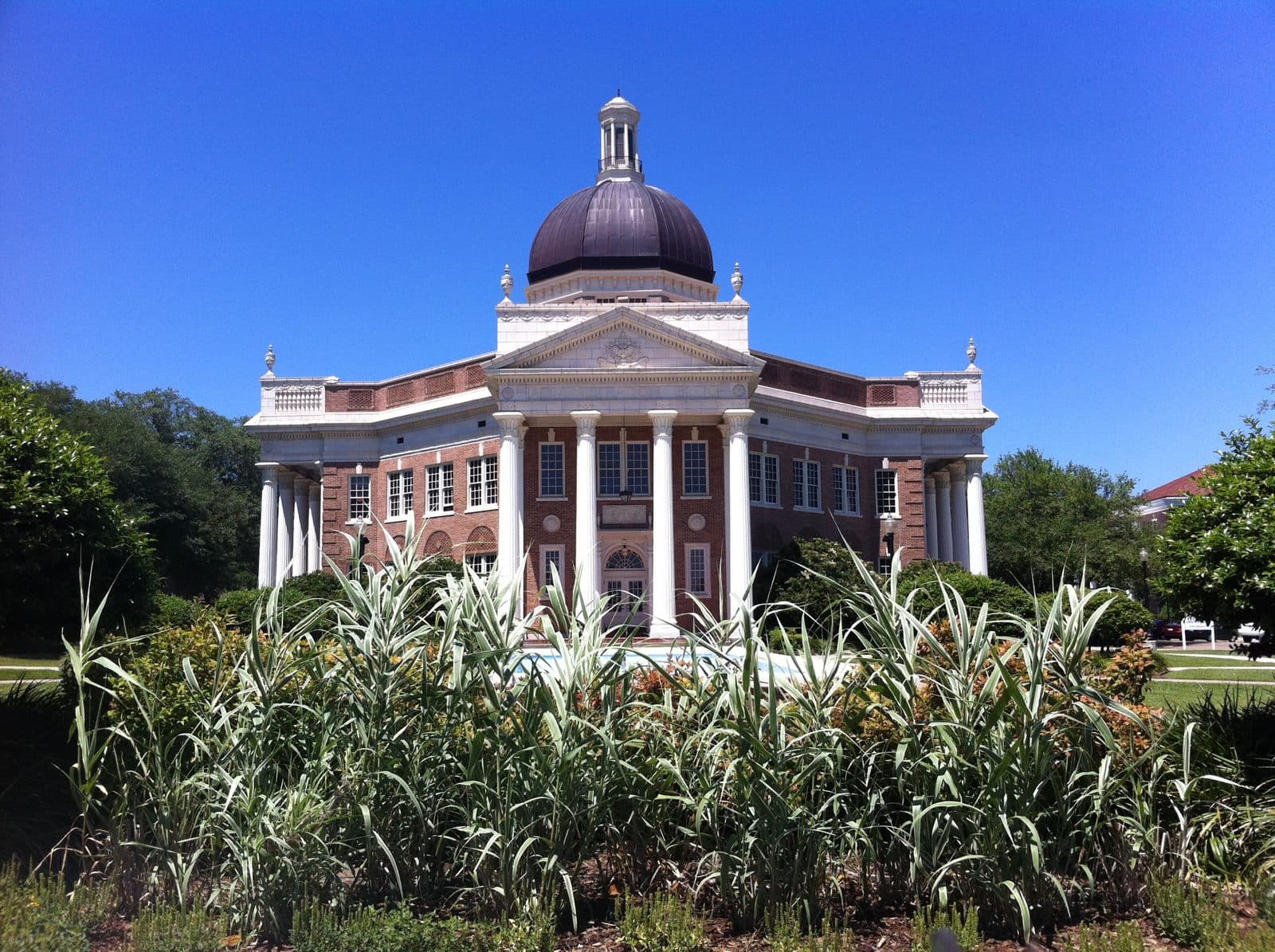 A red-brick building with white columns across a pedimented front portico and a dark dome topped by a small white cupola, seen past a bed of tall striped ornamental grasses under a clear blue sky