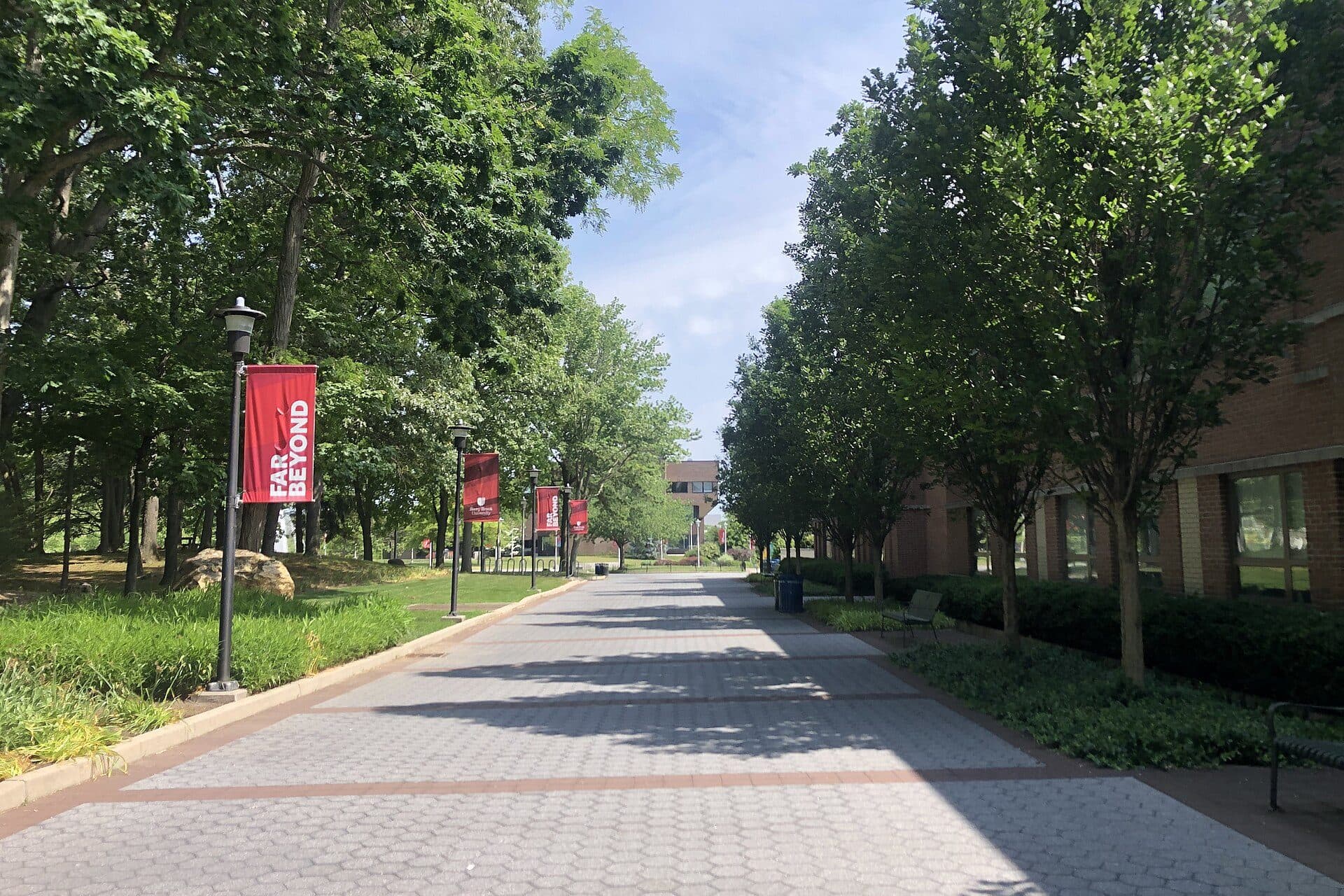 A tree-lined brick walkway on Stony Brook's West Campus, with red university banners on the lampposts
