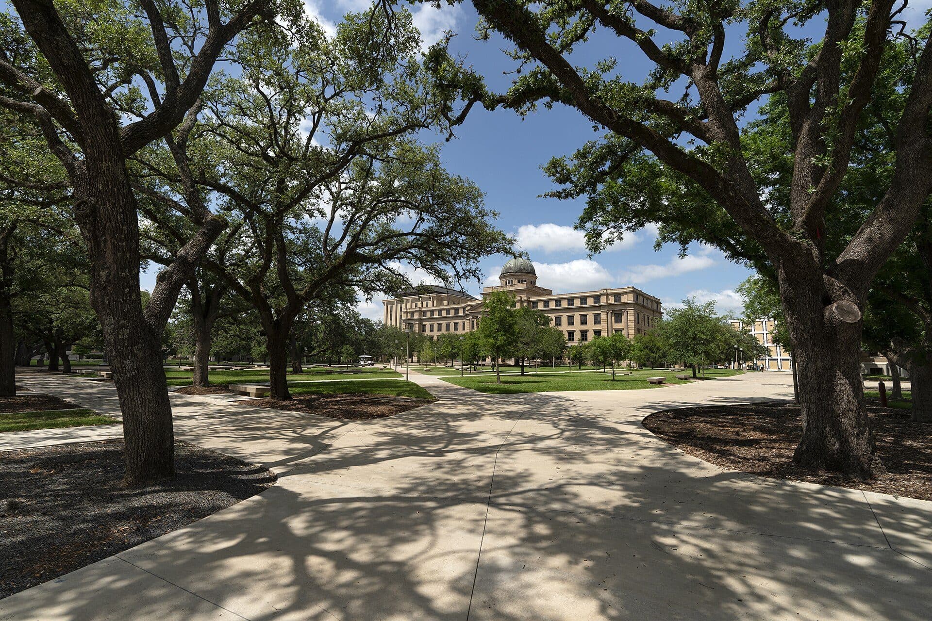 Texas A&M's domed Academic Building seen across a wide lawn and sunlit walkways, framed by spreading live oak trees