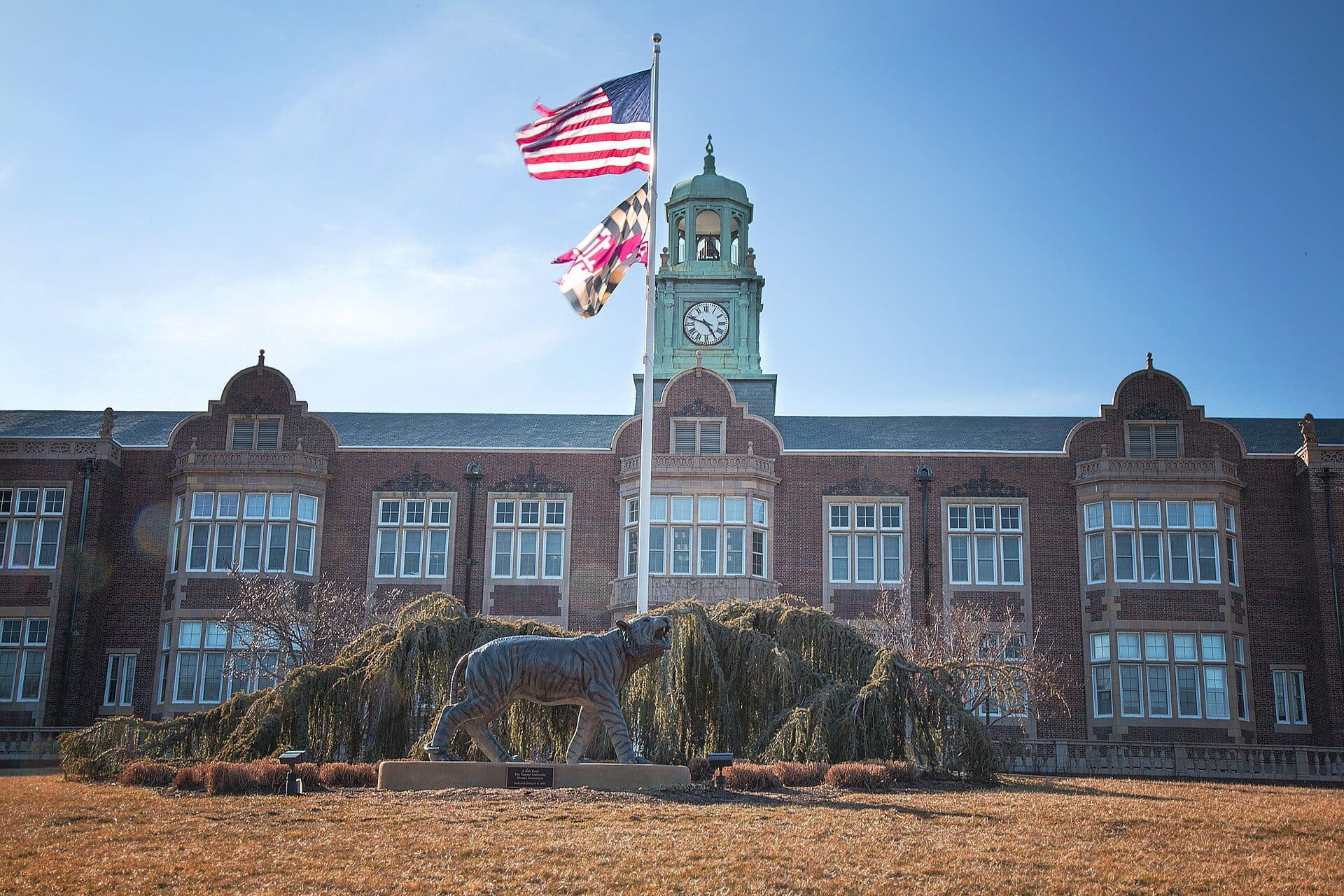 Stephens Hall's brick facade and green clock tower at Towson University, with a tiger statue and flags in front under a blue sky