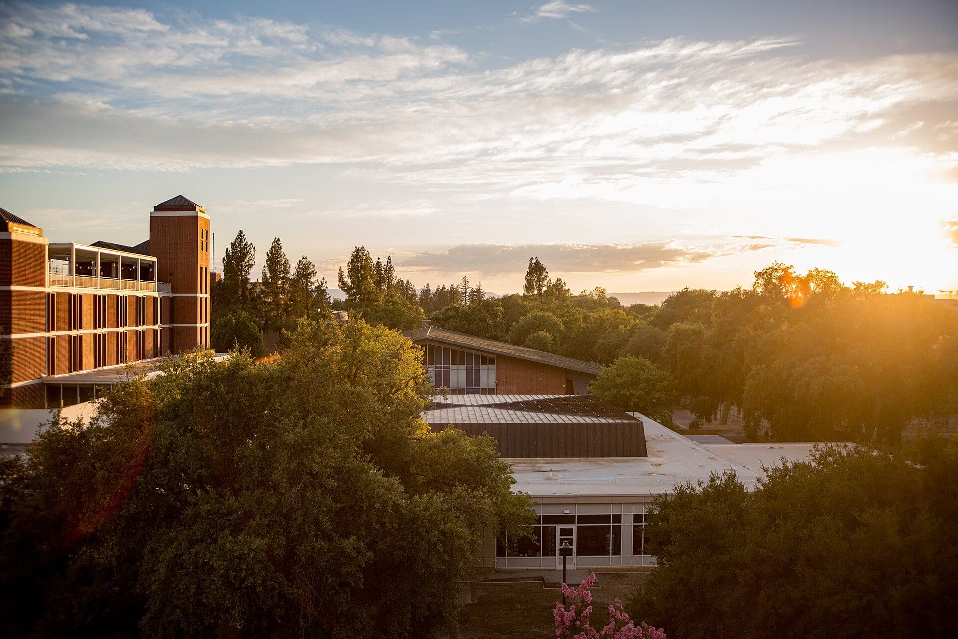 Low brick buildings and treetops around the UC Davis Memorial Union, lit by a golden sunset