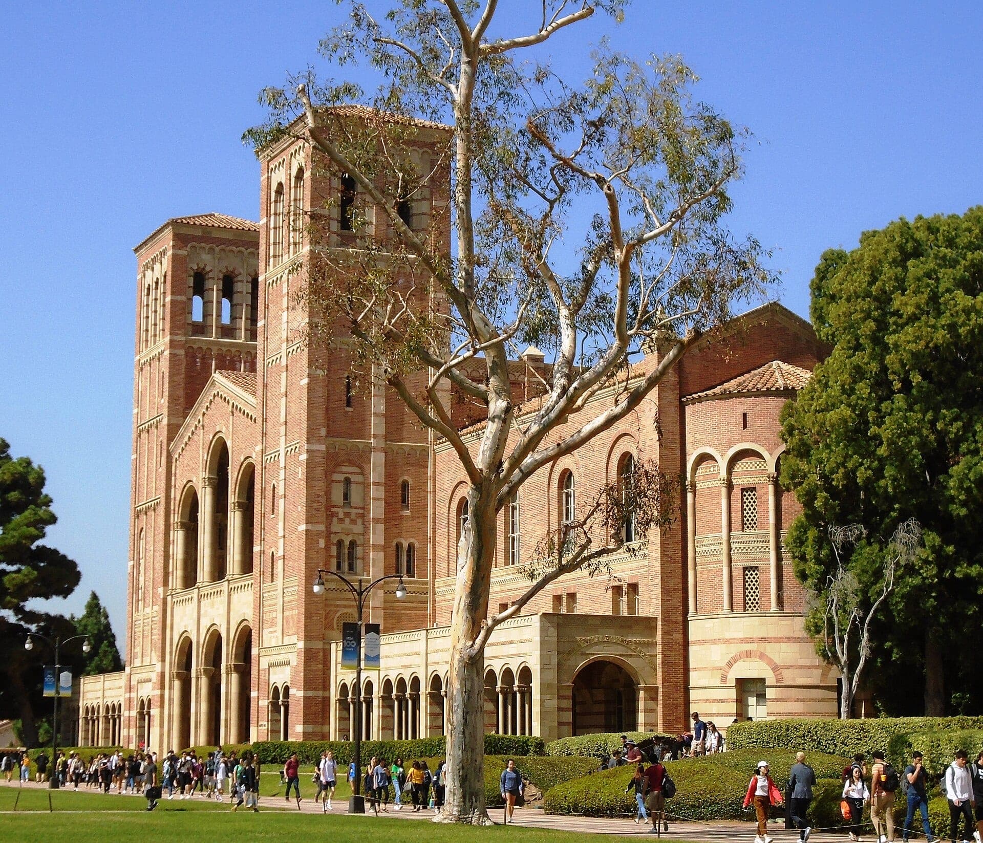 Royce Hall at UCLA, a red-brick Romanesque building with two arcaded bell towers, behind a bare tree under a clear blue sky