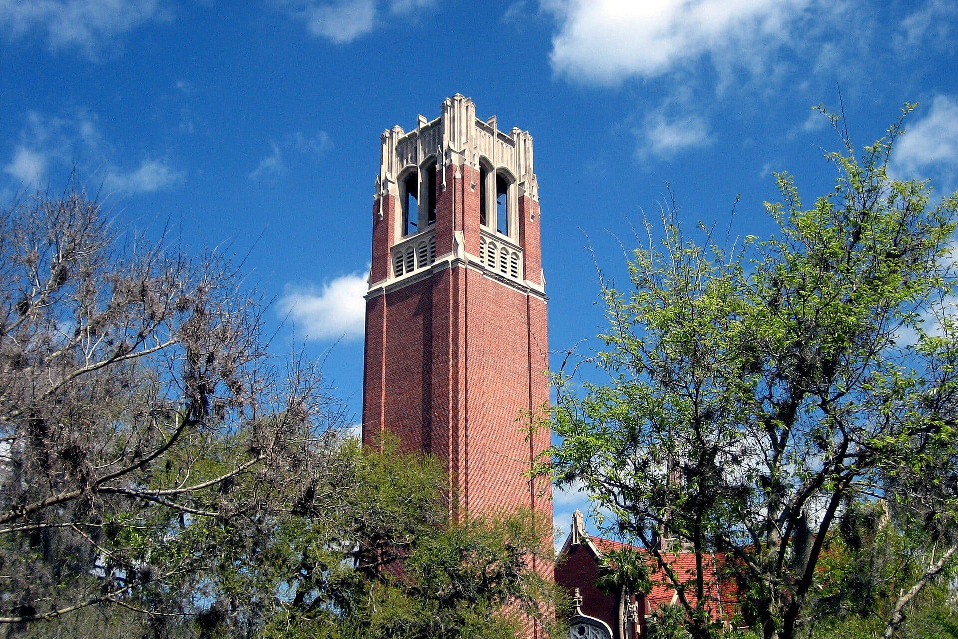 UF's red-brick Century Tower with its pale stone belfry rising between leafy trees under a blue sky with white clouds
