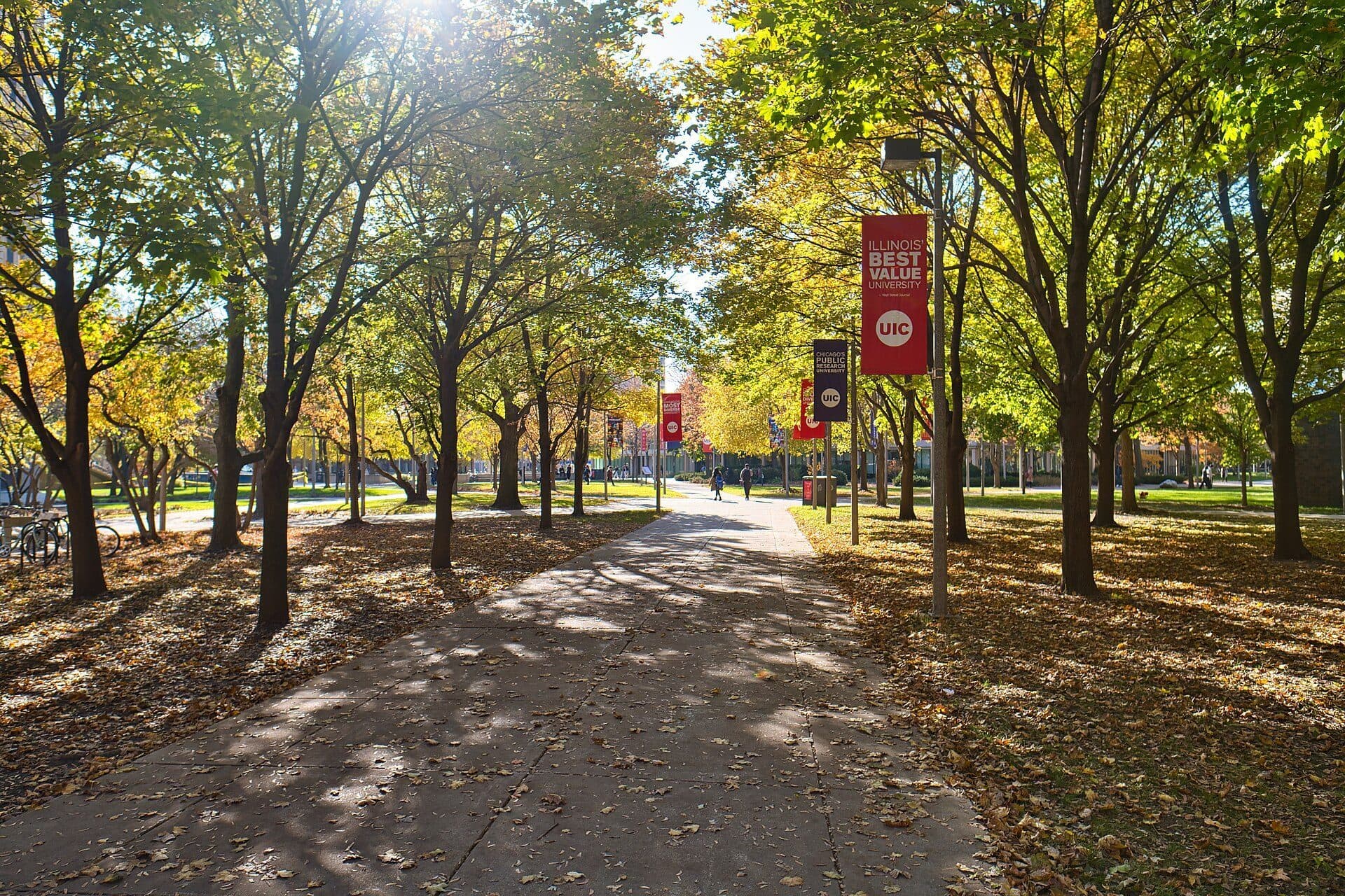 A wide paved walkway through the UIC campus lined with autumn trees and red UIC banners on light poles