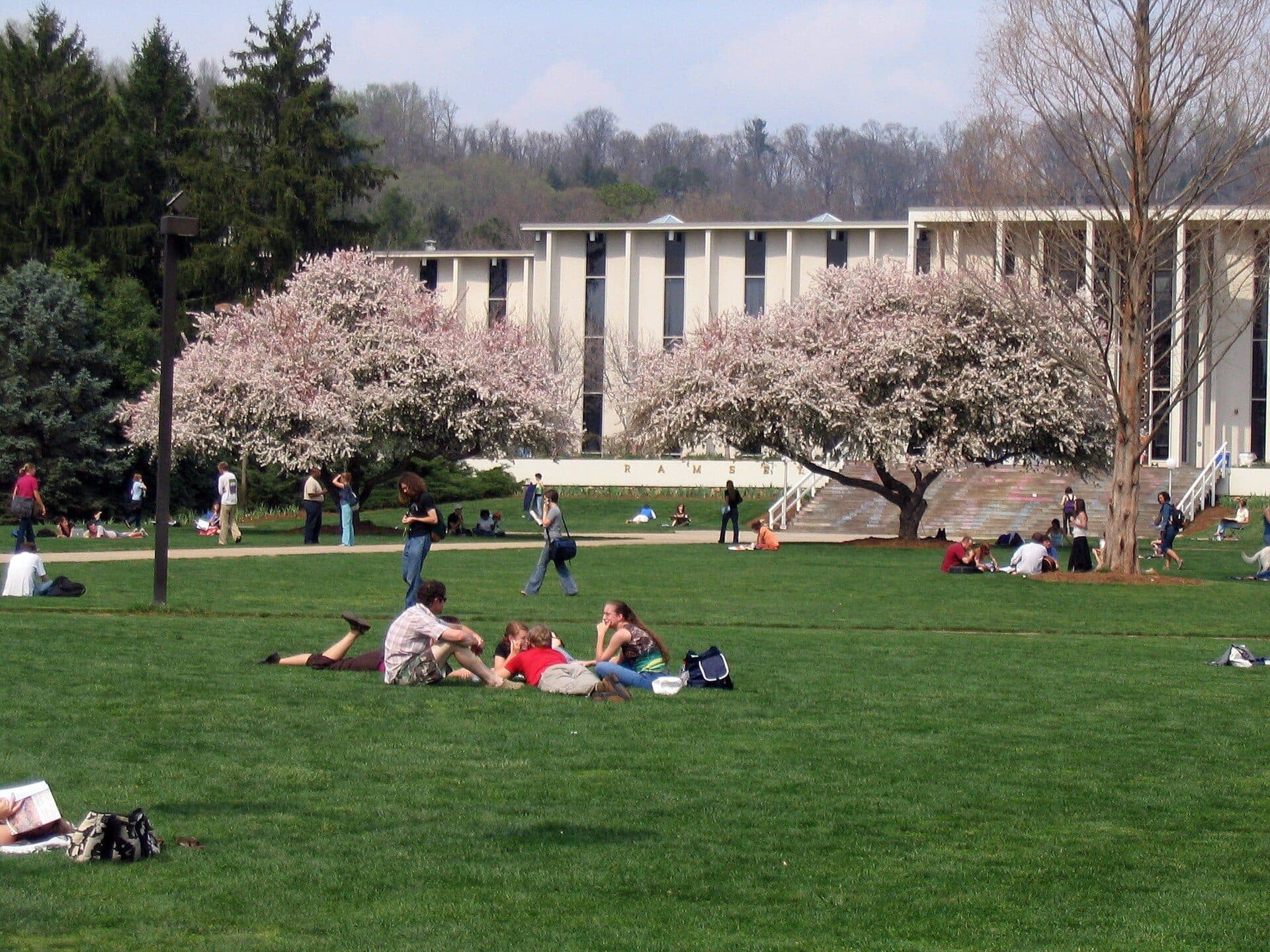 Students relaxing on a green lawn at UNC Asheville beneath two flowering crab apple trees, with a white columned building behind