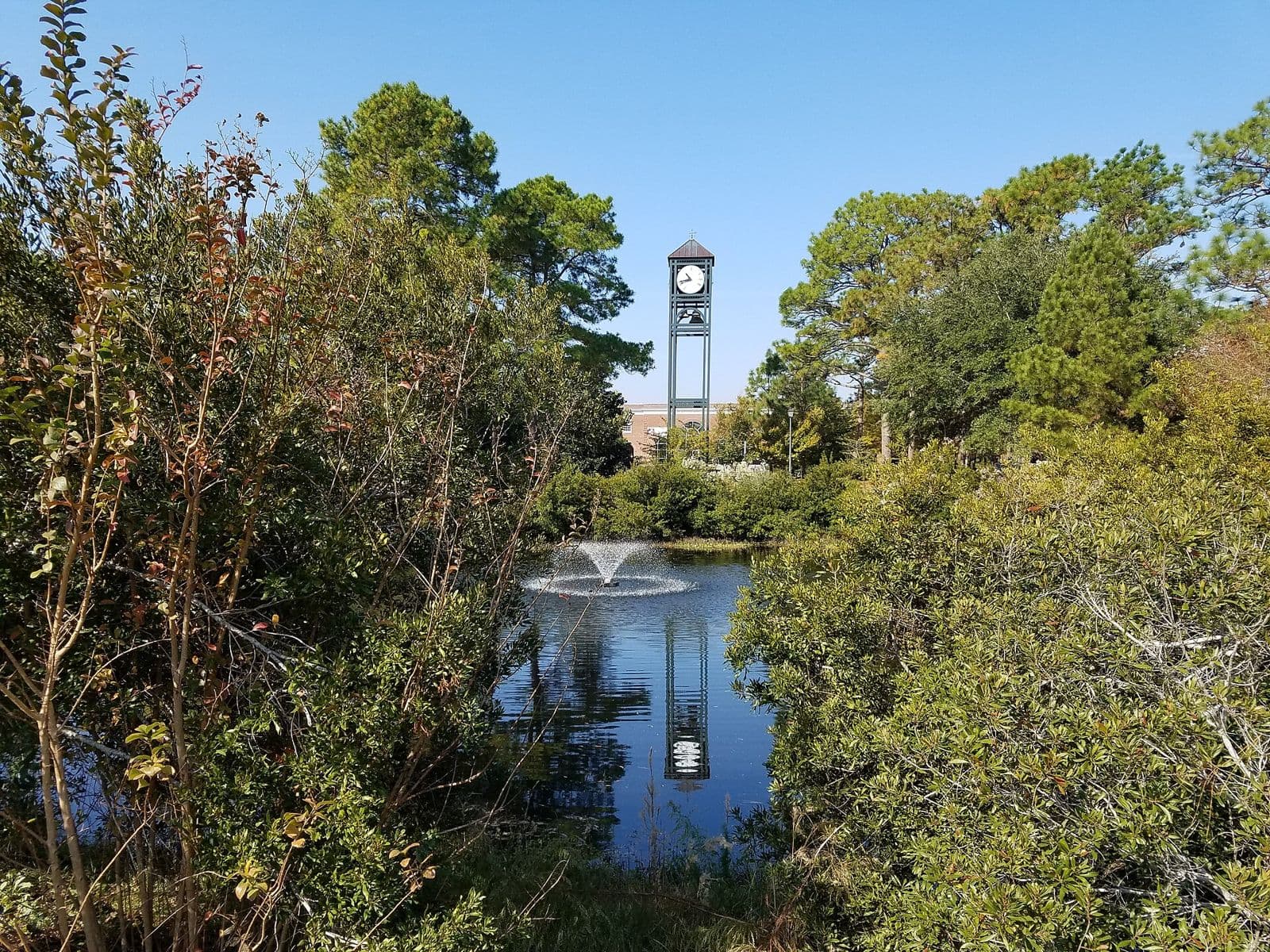 A pond with a fountain on the UNC Wilmington campus, framed by green shrubs and pine trees, with a tall open clock tower behind it under a clear blue sky