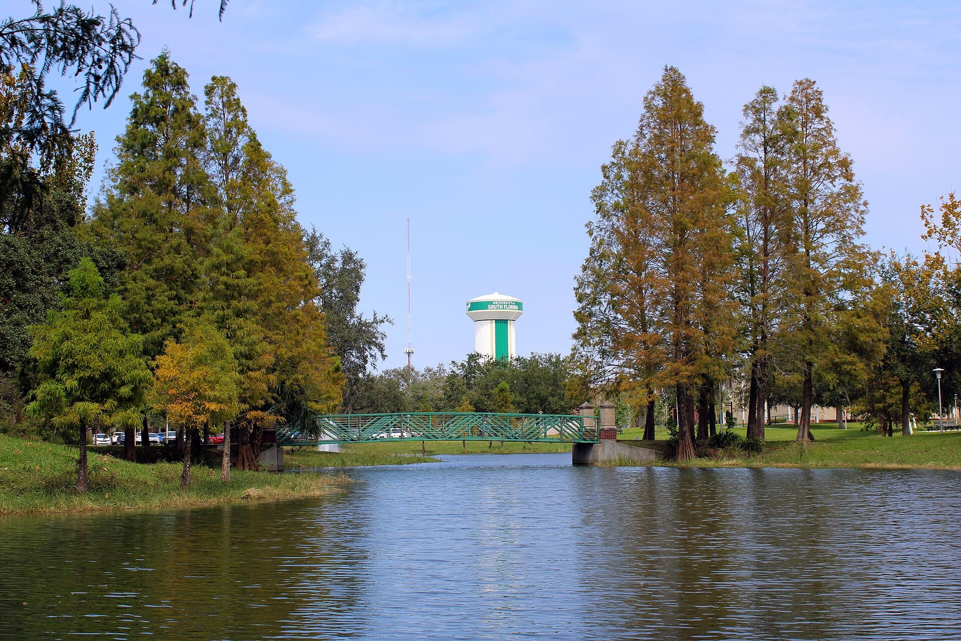 The green-and-white USF water tower rising beyond a pond, a green footbridge and tall cypress trees in Simmons Park on the Tampa campus