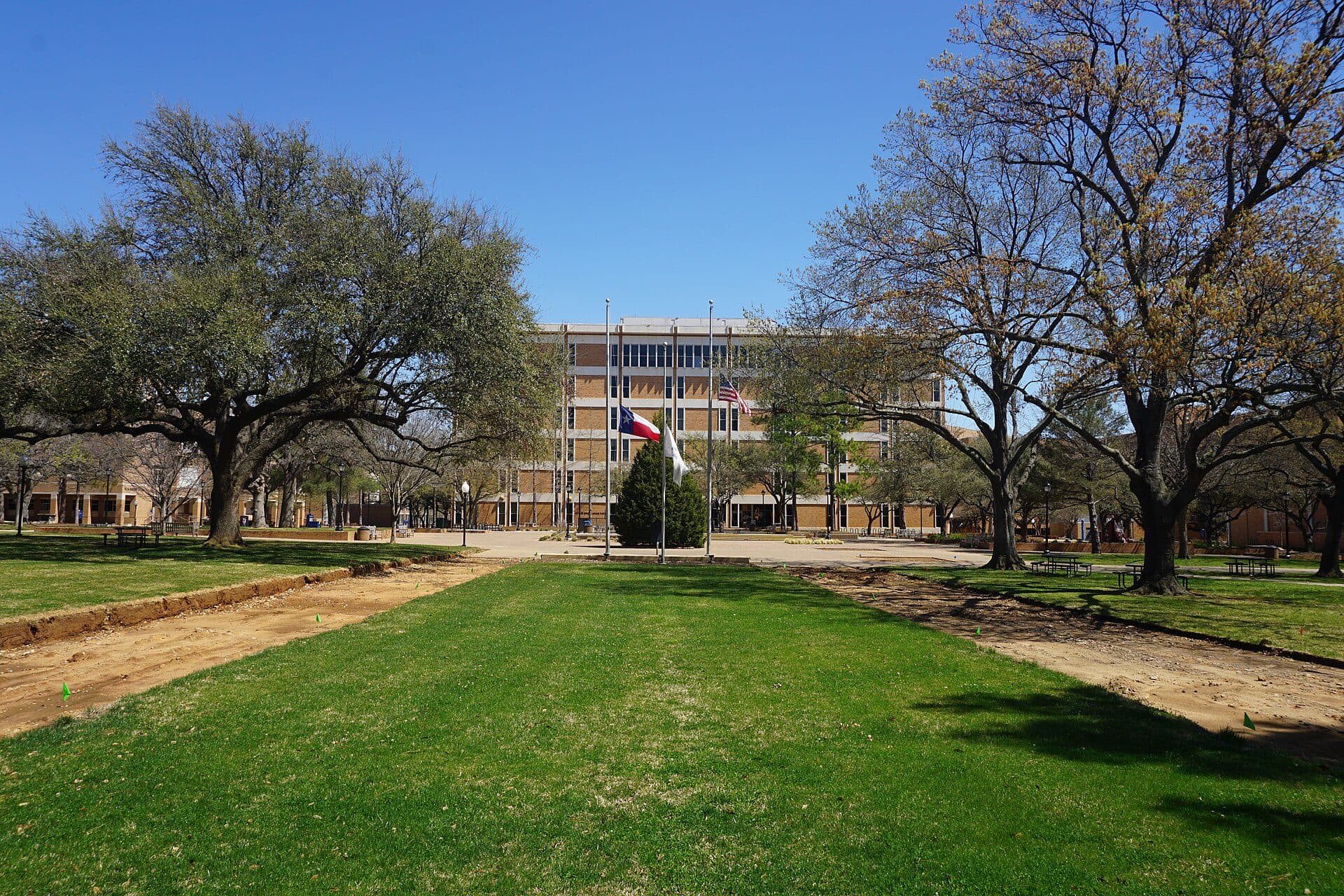 A wide plaza with a lamppost, planted beds and early-spring trees on UT Arlington's Library Mall under a clear blue sky