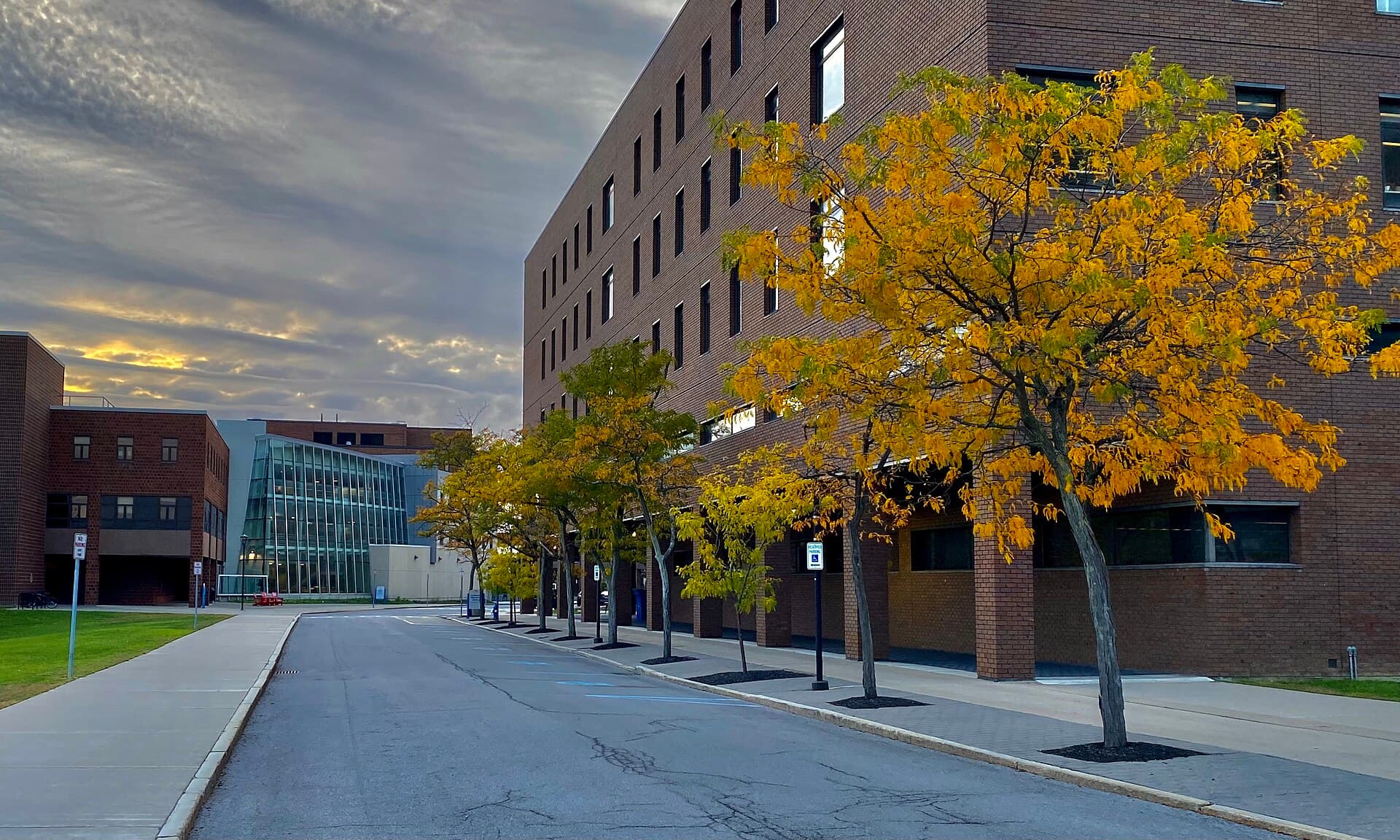 A quiet campus road on the University at Buffalo's North Campus lined with golden-yellow trees beside a tall red-brick building, with a glass-fronted building and more brick buildings ahead under a cloudy evening sky