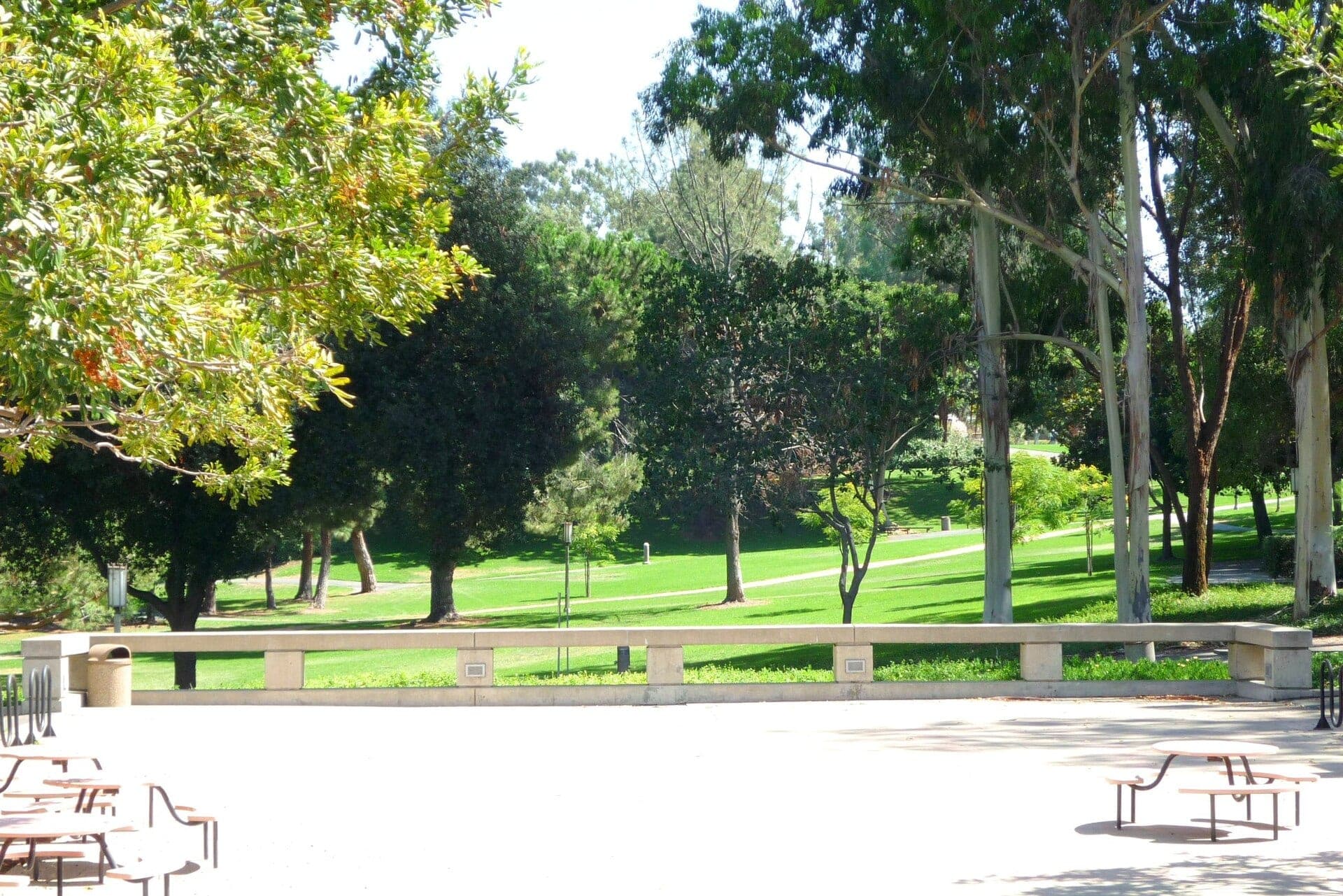 Tall trees and a green lawn in UC Irvine's Aldrich Park, seen from a sunny plaza with benches in the Humanities area